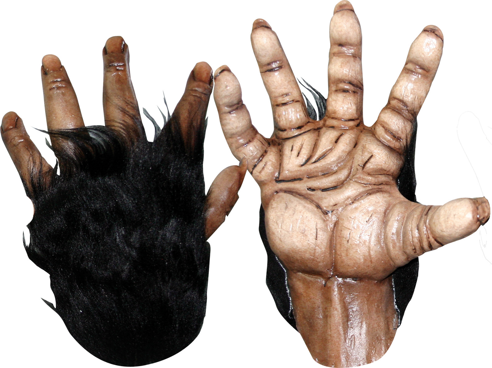 Hands & Feet Chimp Brown Hands Ghoulish Productions Halloween