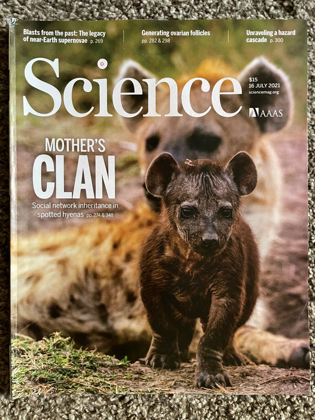 SCIENCE Magazine July 16 2021 Spotted Hyenas Ovarian Follicles Supernovae