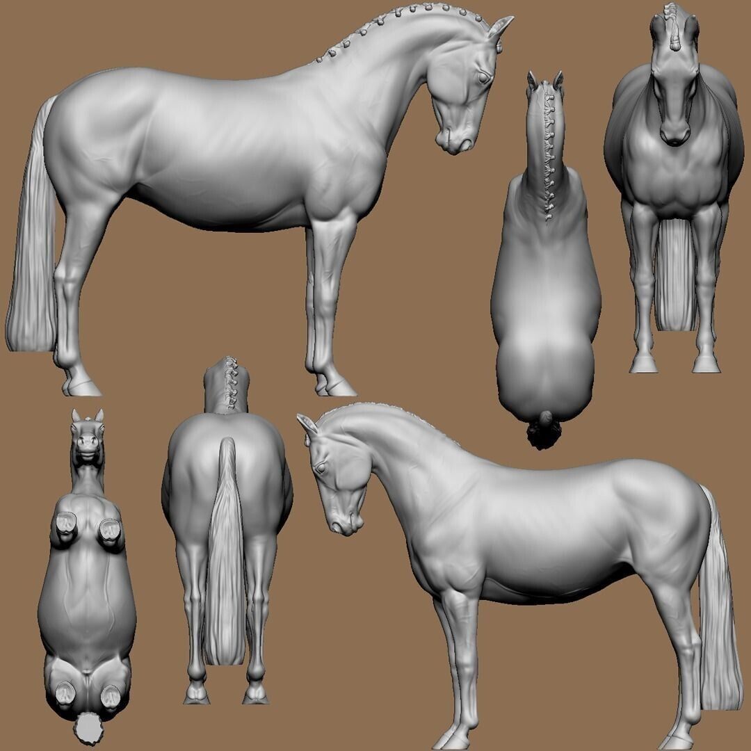 Breyer size resin warmblood model horse - resin - unpainted - choose your size