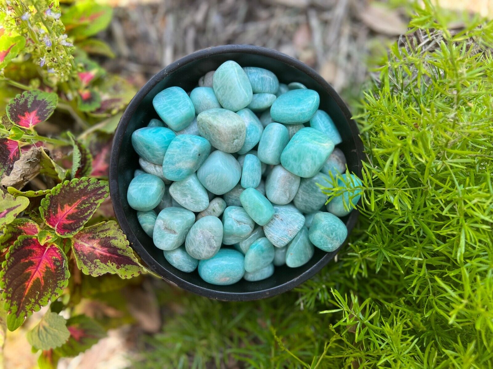 Amazonite Tumbled Gemstones 