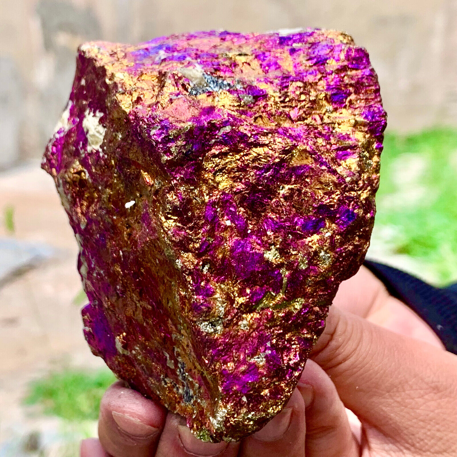 1.12LB Natural Colorful Chalcopyrite Calci Crystal ClustRare Mineral Specimen