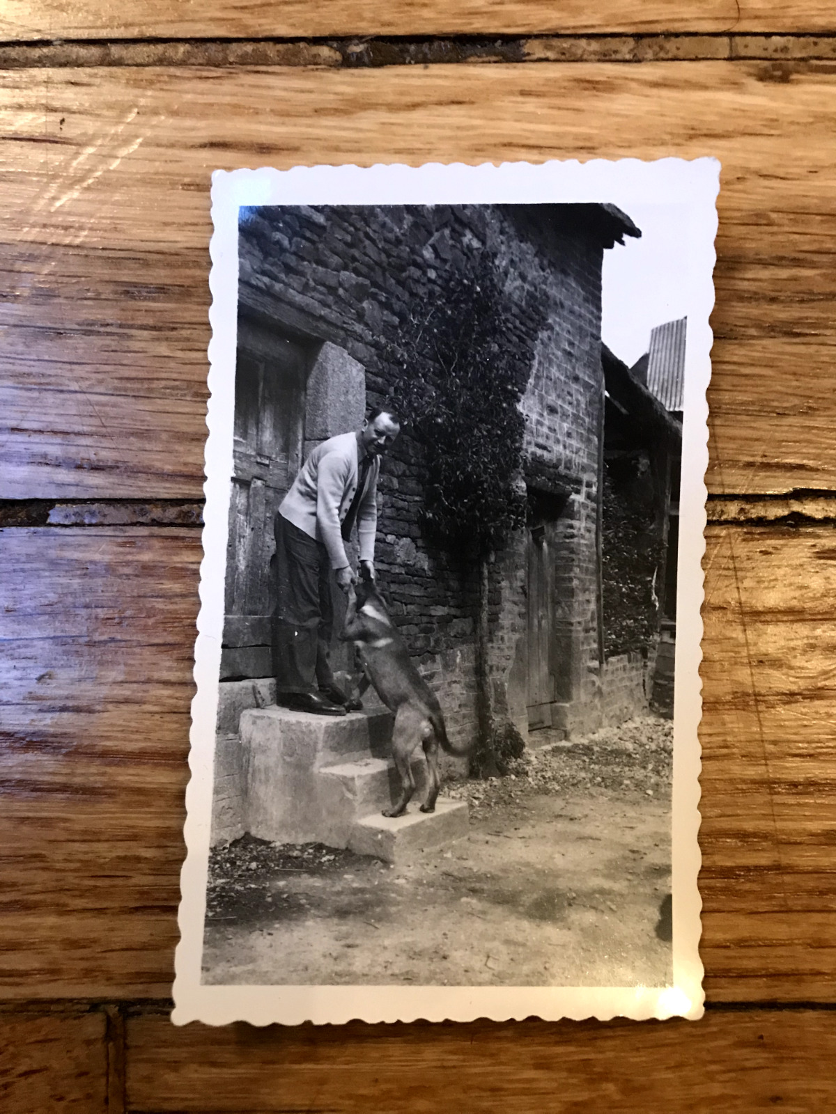 Antique photo circa 1940 Chien Joyeux et his master Campagne village farm