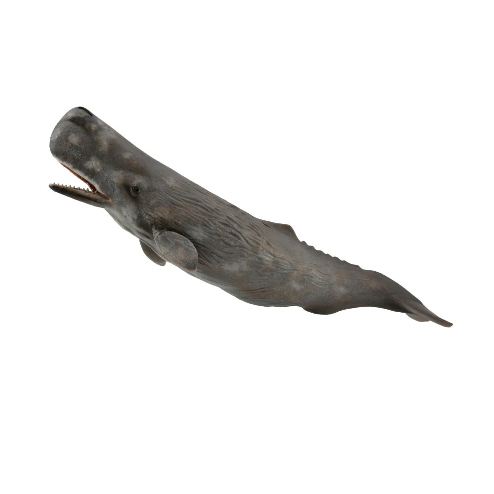 CollectA Realistic Animal Replica Sperm Whale Figure Extra Large Ages 3+ and Up
