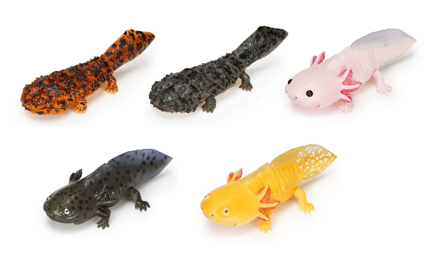 Diversity of Life on Earth Japanese Giant Salamander & Axolotl Bandai Figure set