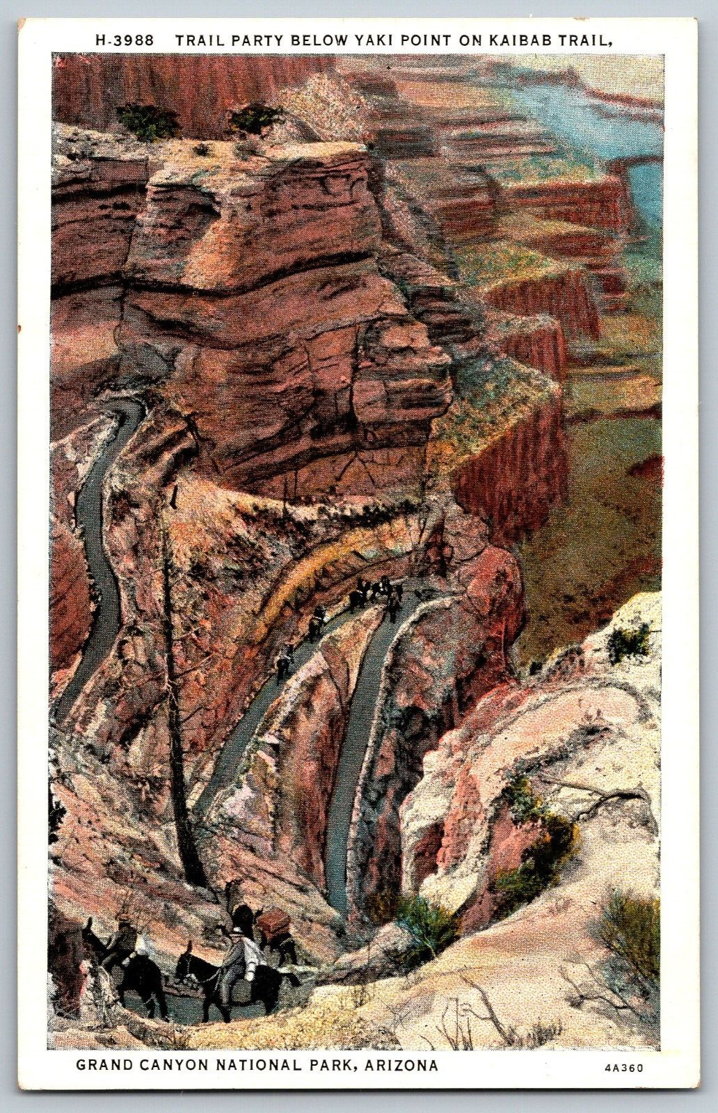 Arizona AZ - Kaibab Trail Grand Canyon National Park - Vintage Postcard