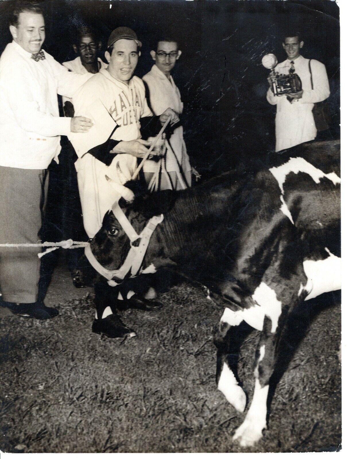 1948 Orig Baseball Photo Cuban HOF Pitcher CONRADO MARRERO Award Winning Cow