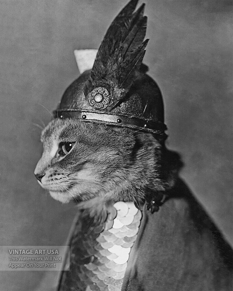 Cute Cat Photo Art Print - Vintage 1930s Funny Humorous Brunhilde The Cat Photo