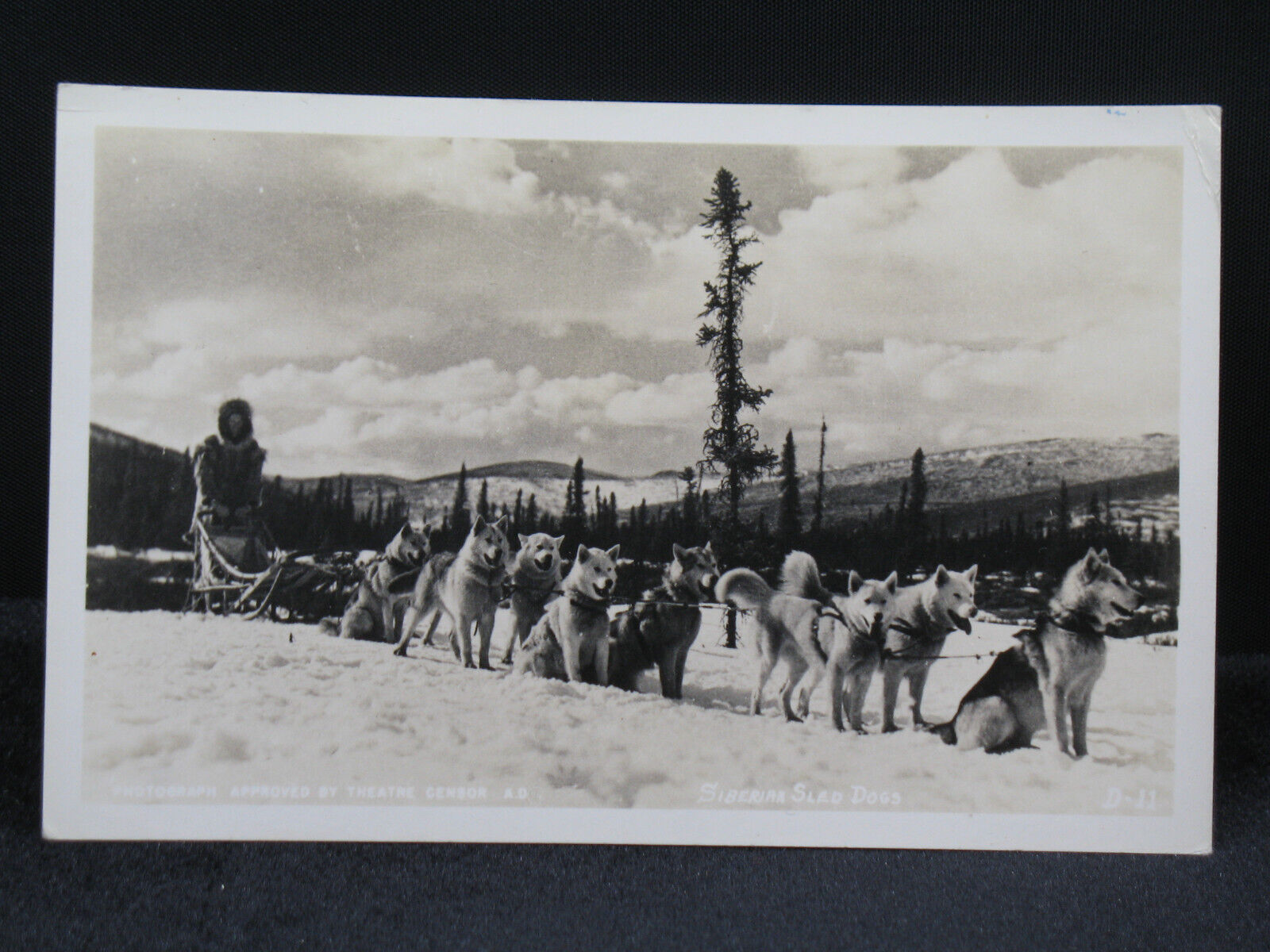 Siberian Sled Dogs RPPC Postcard Approved By Theater Censor UNPOSTED