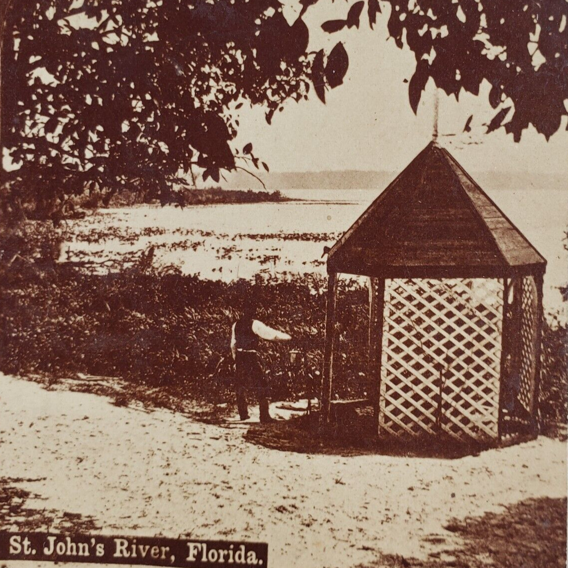 Florida St Johns River Stereoview c1880 Beach Antique Photo Wetlands Lake B1389