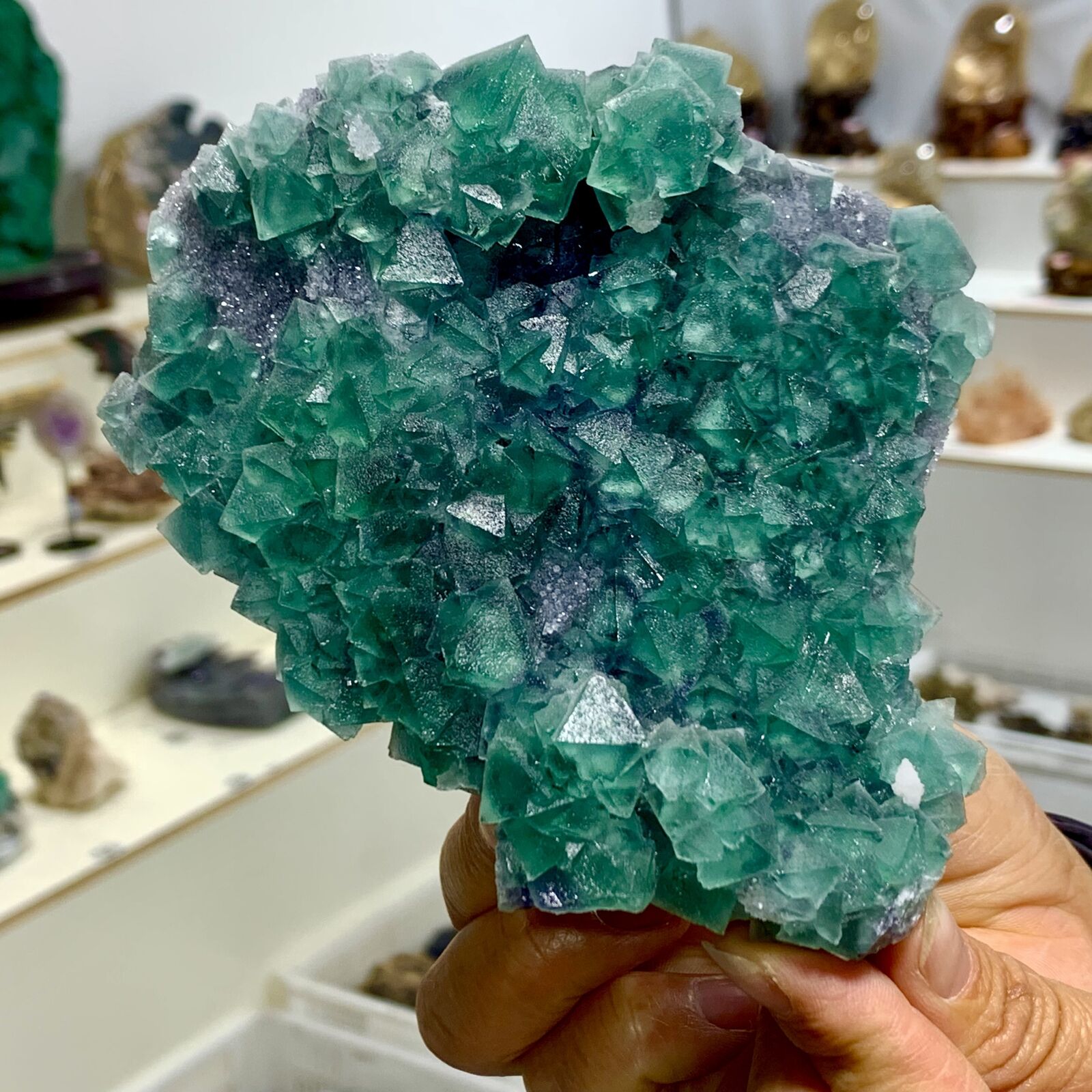 1.4LB Rare transparent GREEN cubic fluorite mineral crystal sample/China