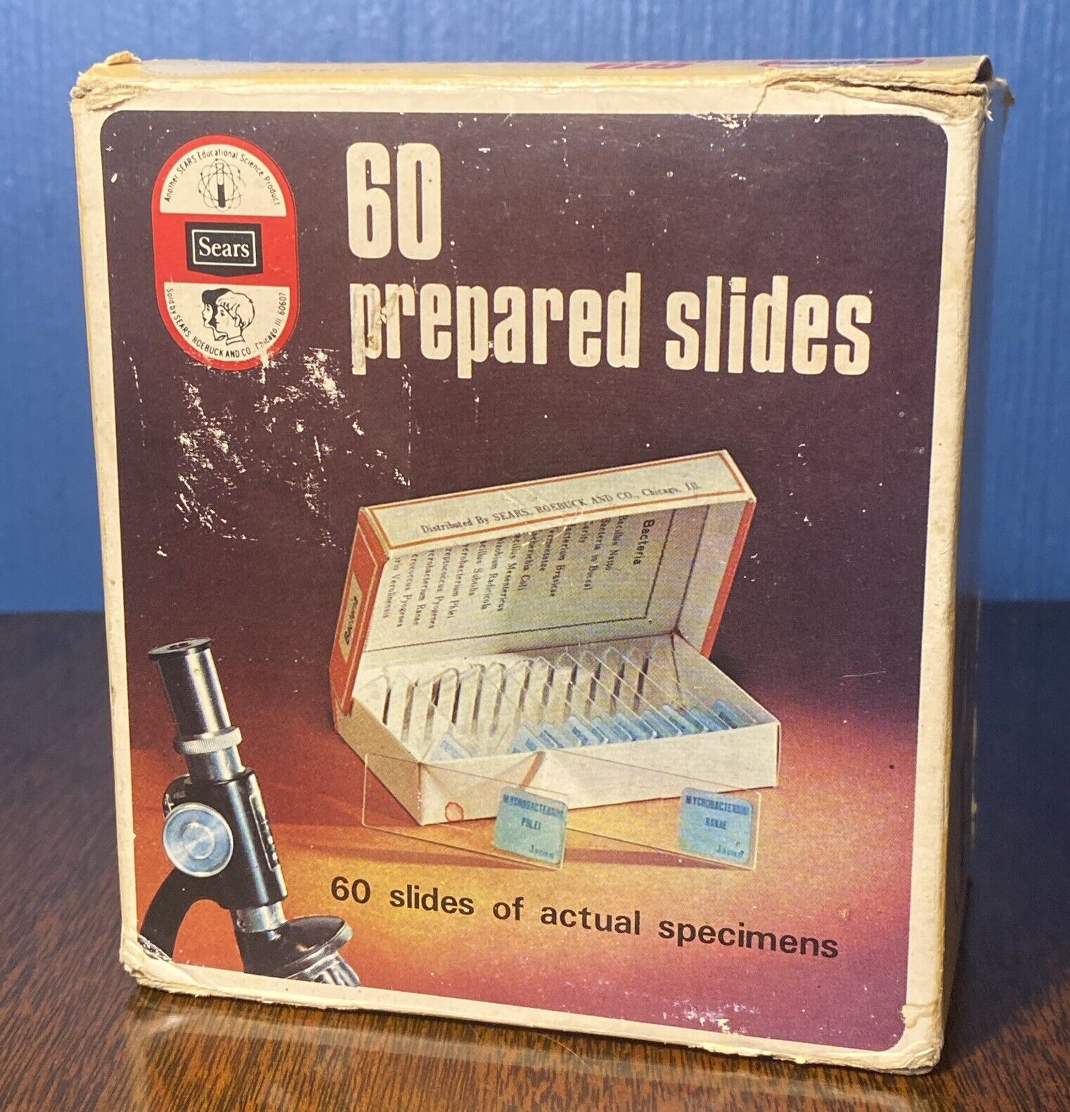VINTAGE Sears 60 Prepared Microscope Slides - Animal Blood, Insects, Bacteria