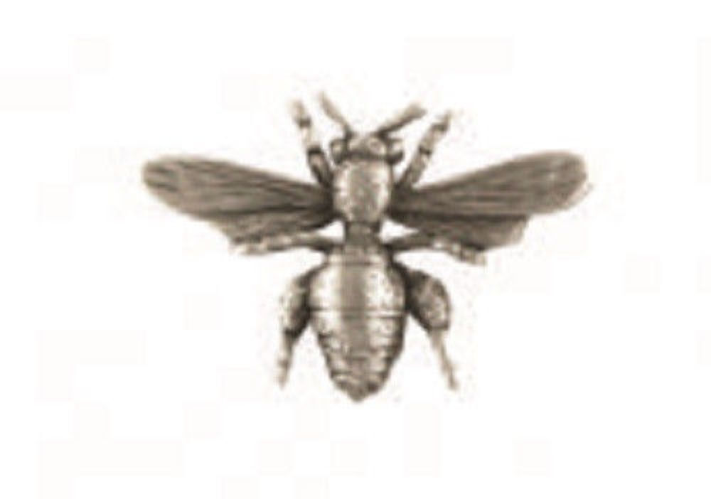 A.E. Williams Fine Brittish Pewter Lapel Hat Pin Honey Bee Insect #35132