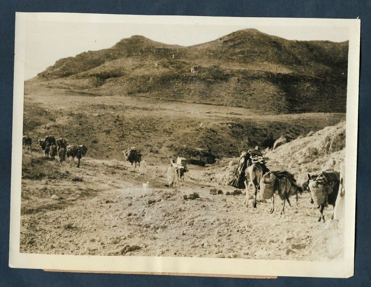 WWII UN SOLDIERS & CAMEL TRAIN TO FIGHT AXIS FORCES TUNISIA 1945 Photo Y 105