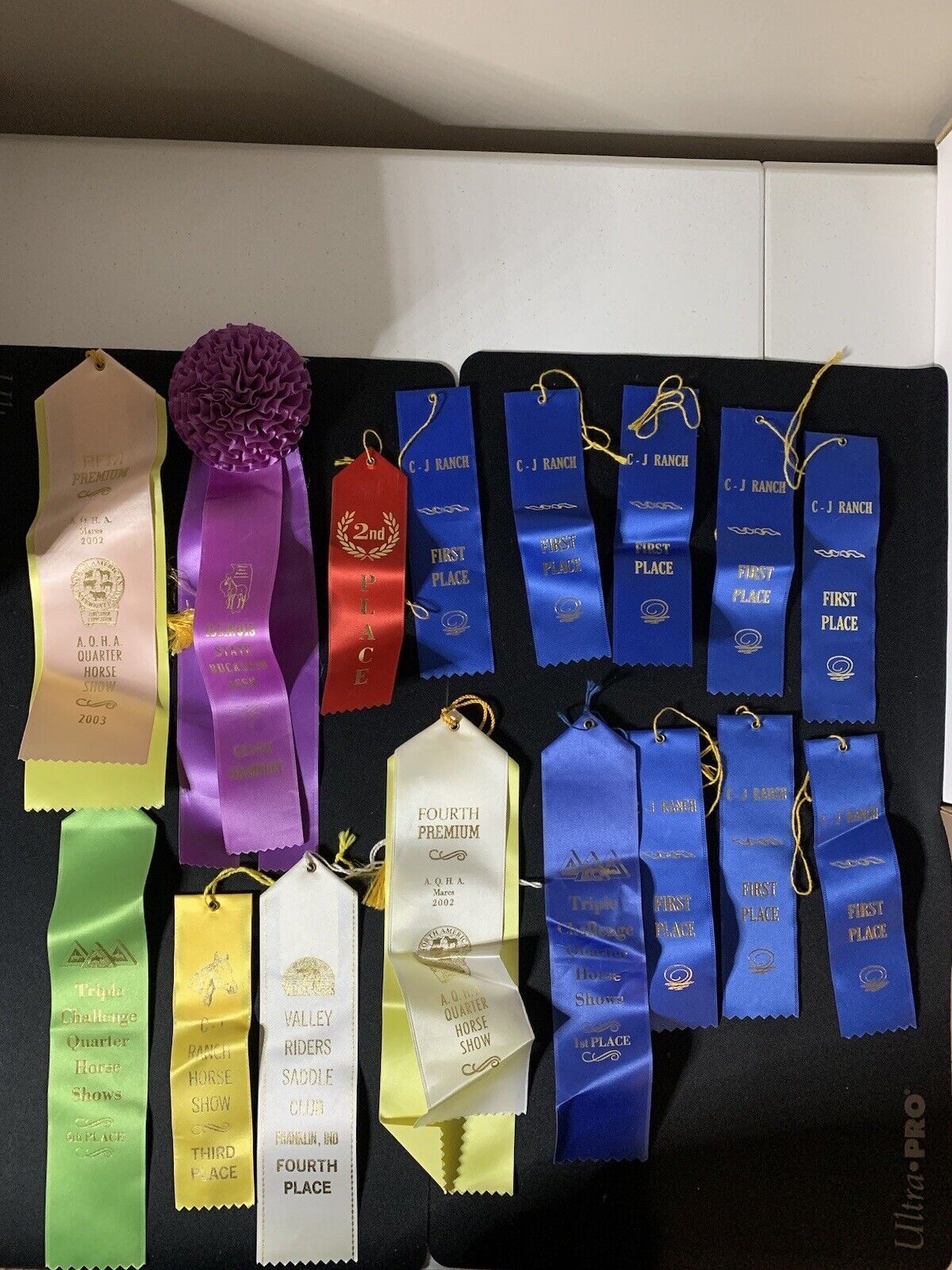 horse show ribbons lot (16) A.Q.H.A Show, Illinois St Grand Champ Valley Saddle