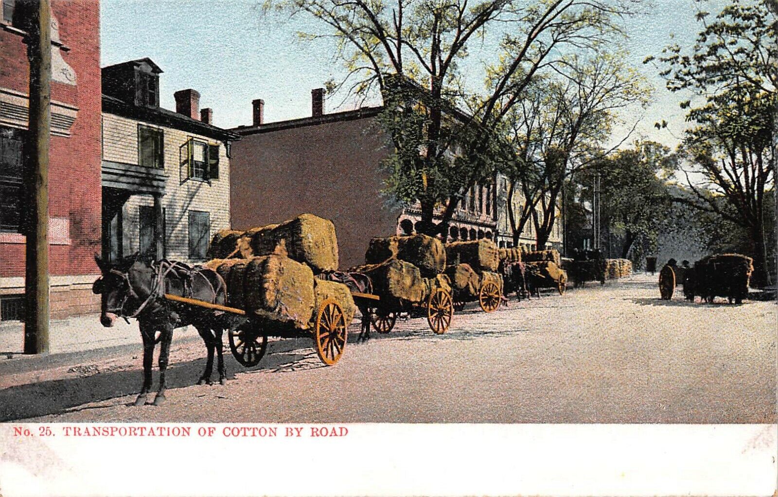 Transportation of Cotton by Road, Pre-1907 Postcard, Unused