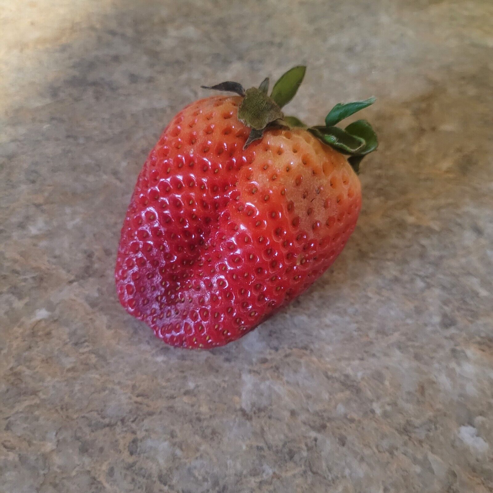 genetically modified strawberry VERY RARE