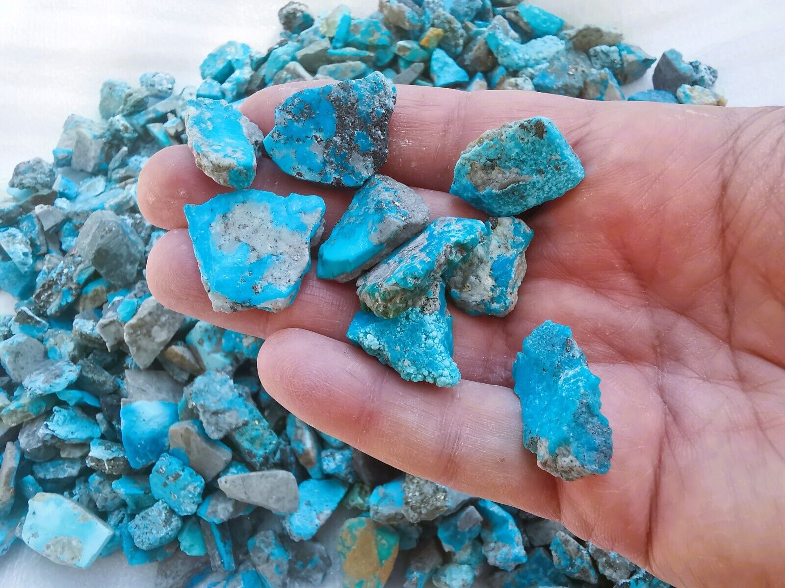 500 Carat Lots Natural Persian Turquoise & Pyrite Rough stone , No Treatments