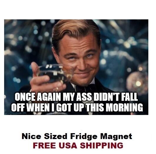 356 - Funny Alcohol Drinking Saying Refrigerator Fridge Magnet