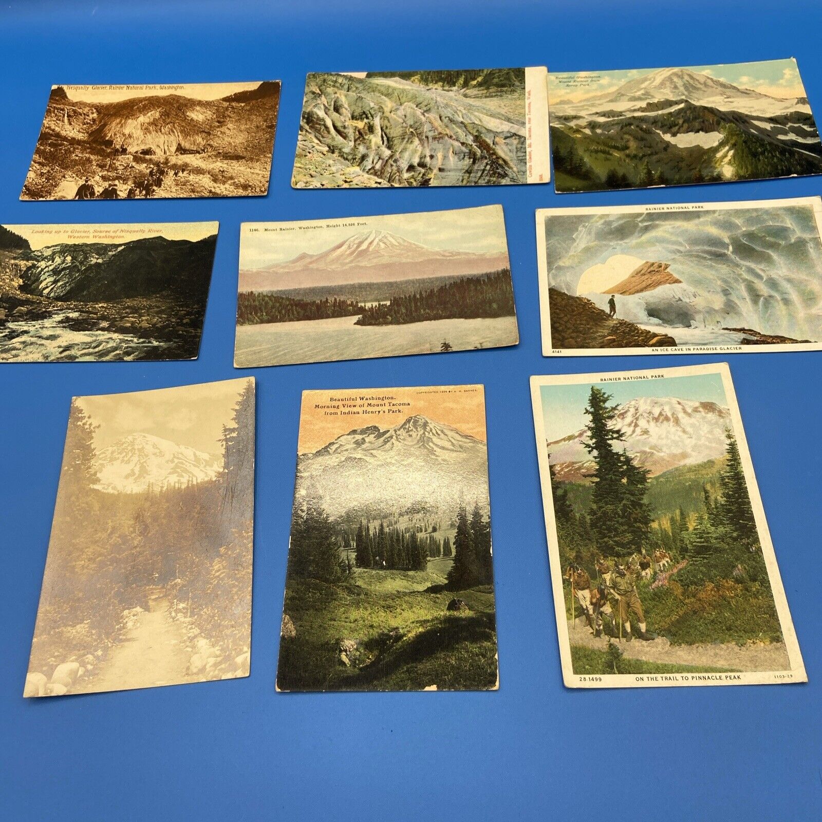 9 Antique Postcards Washington State Mt Rainer National Park Nesqually Glacier