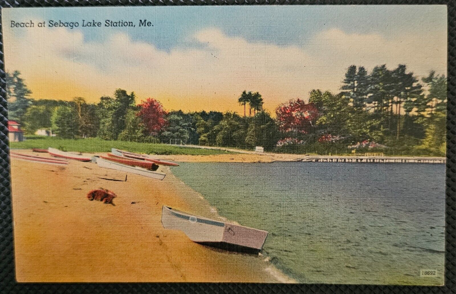 Beach at Sebago Lake Station ME, Vintage Postcard