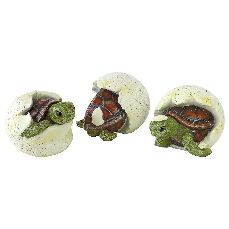 Set of 3: Protected Endangered Sea Turtle Nest Baby Hatchlings Ocean Beach Decor