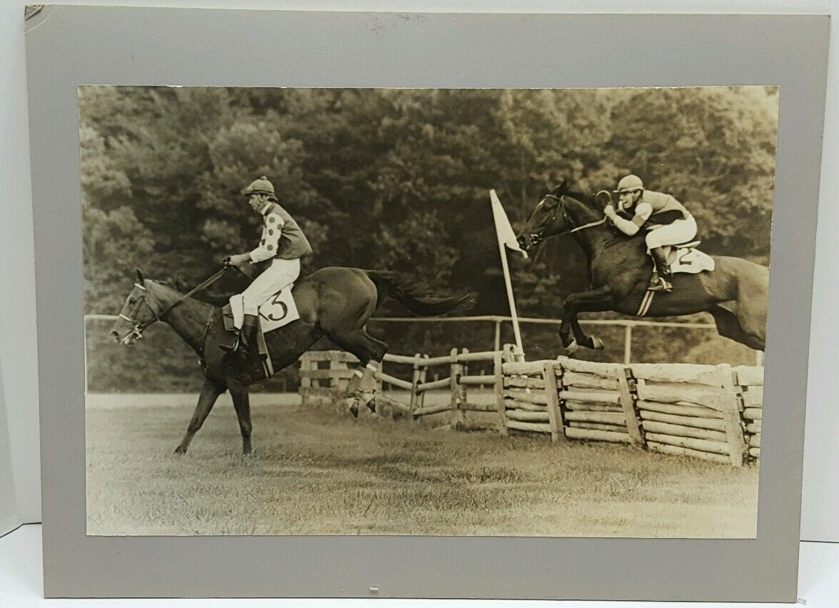 1973 Horse Race Fair Hill Races Maryland Photograph Douglas Lee of Warrenton VA