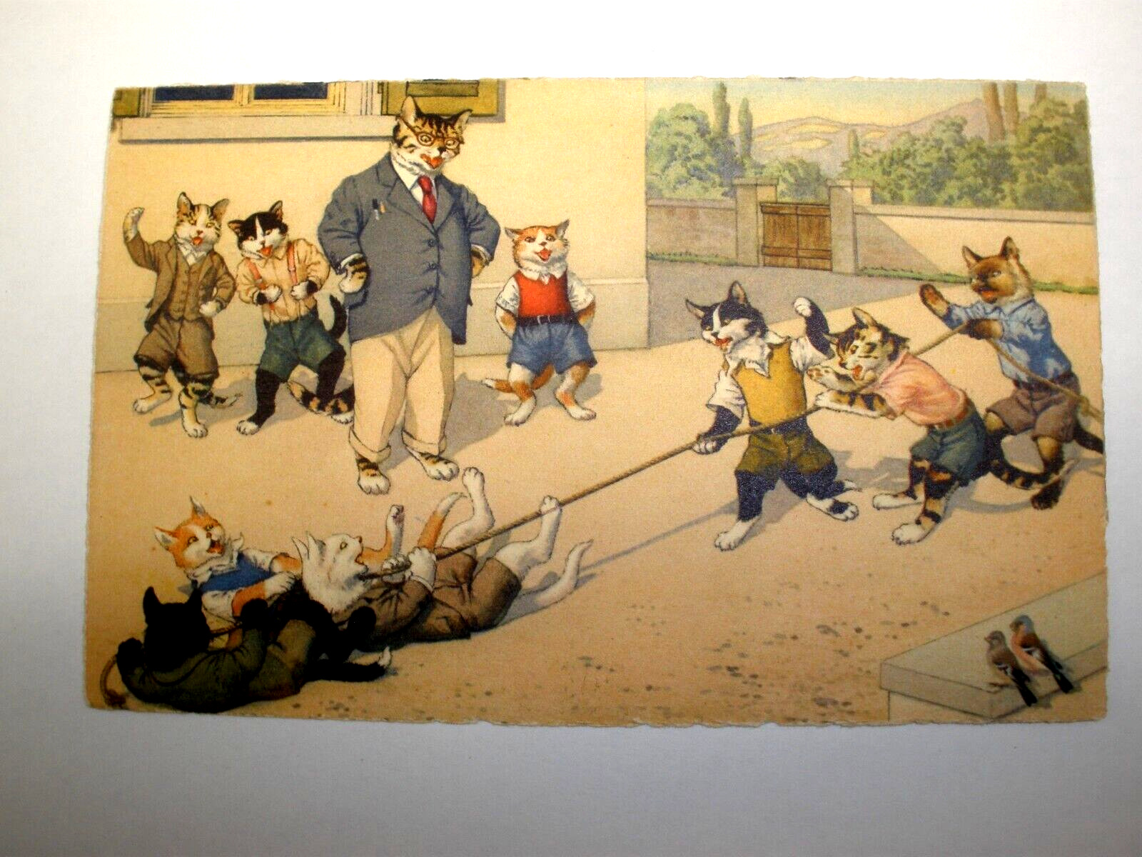 Vintage Postcard, Alfred Mainzer Cat School Yard Games # 4726 Unposted