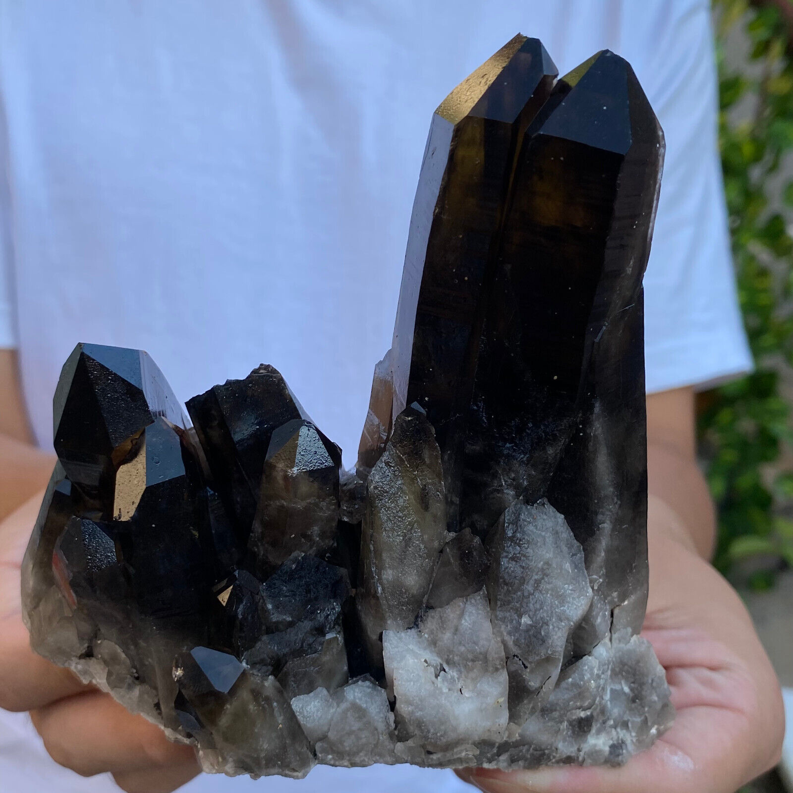 1.35lb Large Natural  Smoky Black Quartz Crystal Cluster Raw Mineral Specimen