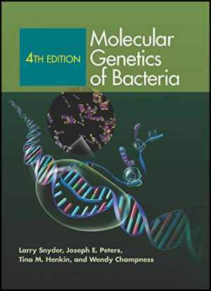 Molecular Genetics of Bacteria, 4th - Hardcover, by Snyder Larry R.; - Very Good