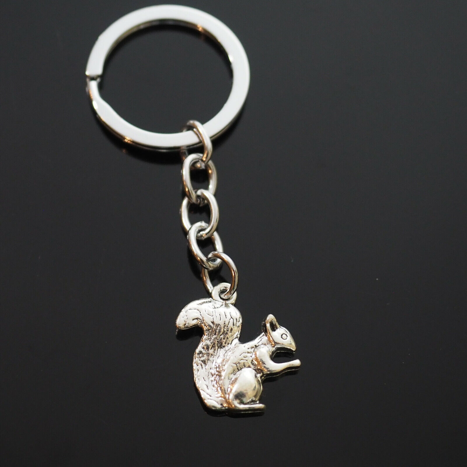 Cute Squirrel Eating Nut Funny Wildlife Nature Lover Key Chain Silver Keychain