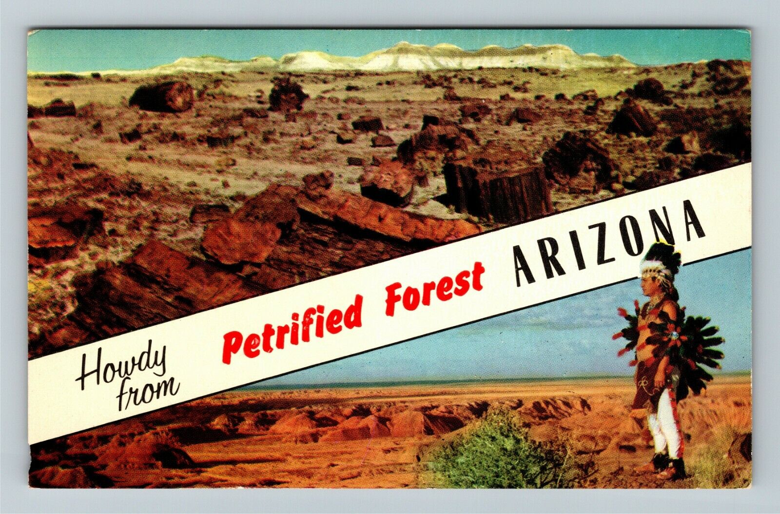 Petrified Forest AZ-Arizona, Banner Greetings, Vintage Postcard