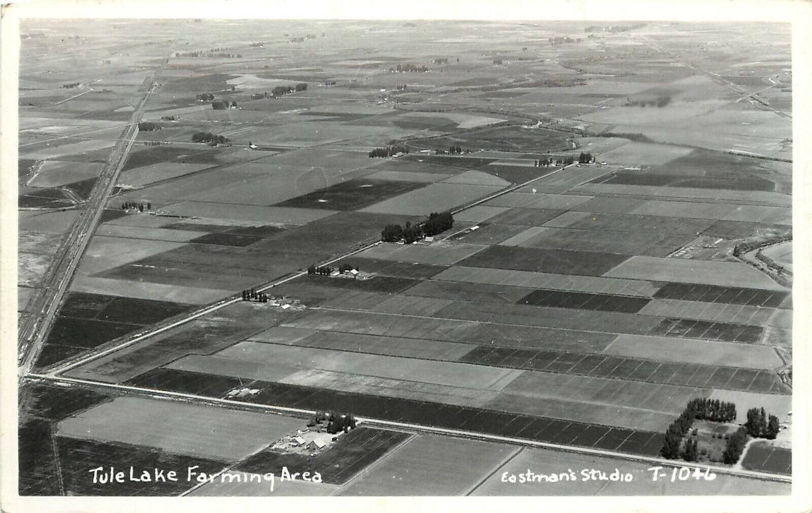 RPPC Postcard Air View Tule Lake CA Farming Area Modoc County Eastman T-1046