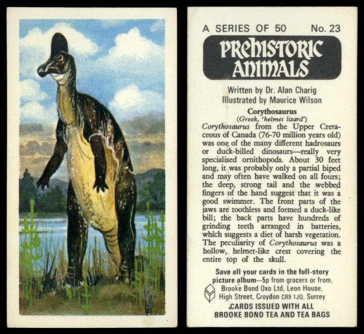 Corythosaurus #23 Prehistoric Animals 1972 Brooke Bond Tea Card