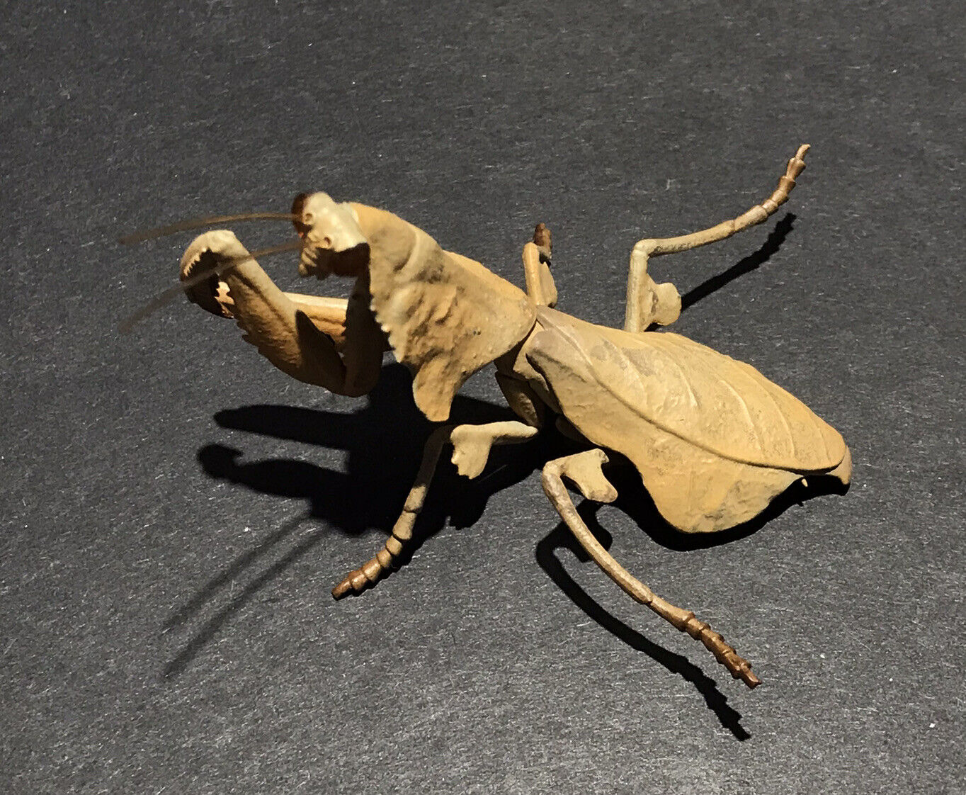 Takara Tomy Kaiyodo Southeast Asian Dead Leaf Praying Mantis Insect PVC Figure