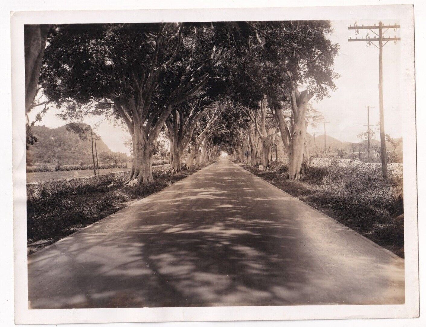 CUBAN PUBLIC WORKS NEW ROAD BY THE NATURE CUBA 1940s VINTAGE ORIG Photo Y J 349