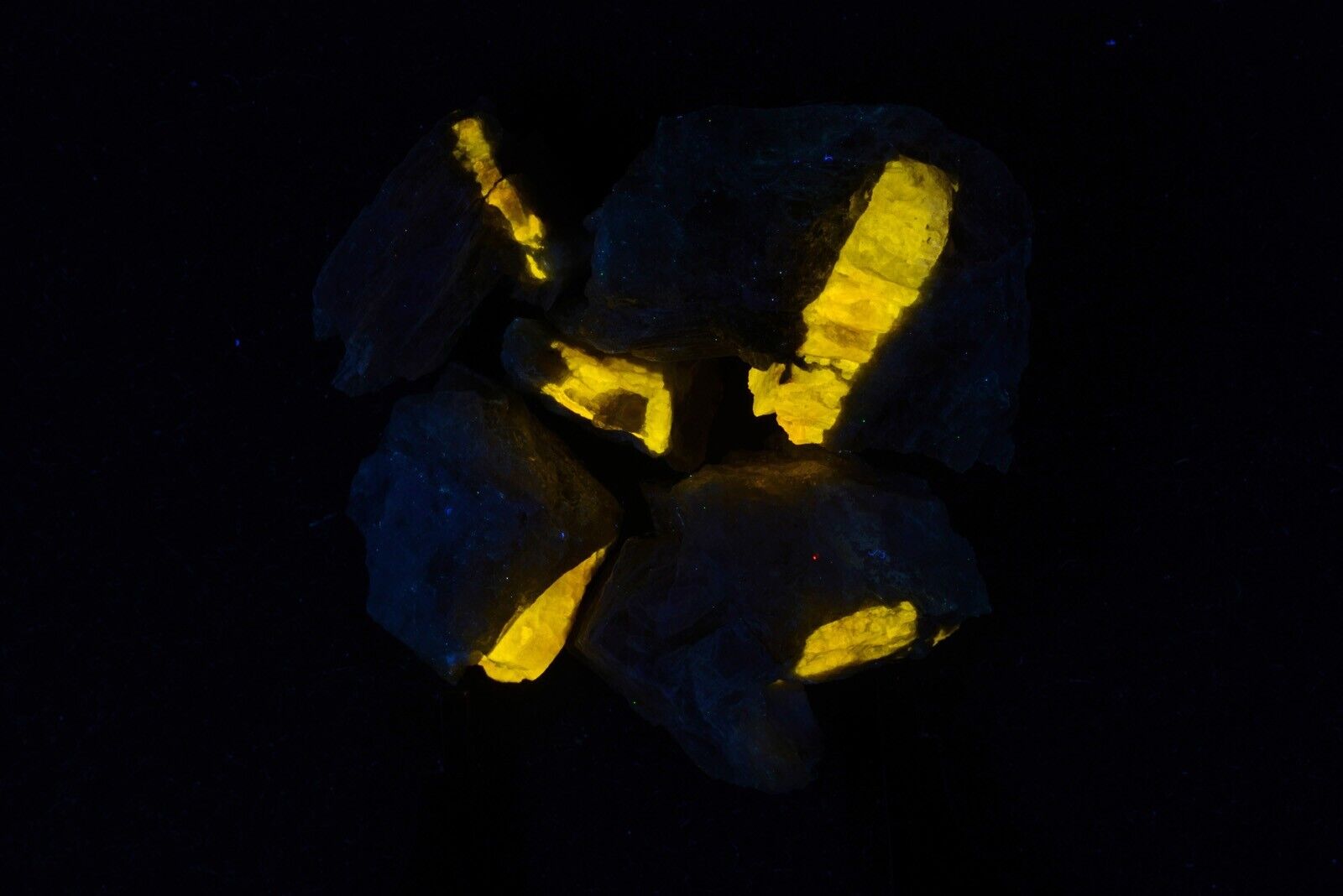 JH26481 Five Apatite Specimens, Himalaya Mine CA