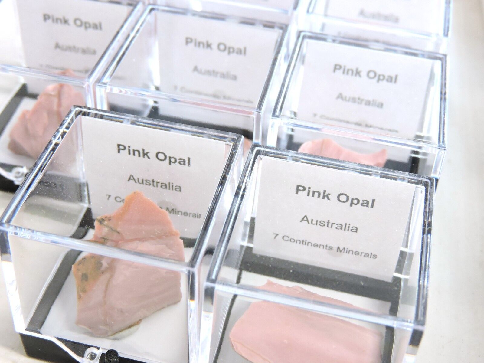 Pink Opal in Perky Box *Australia*