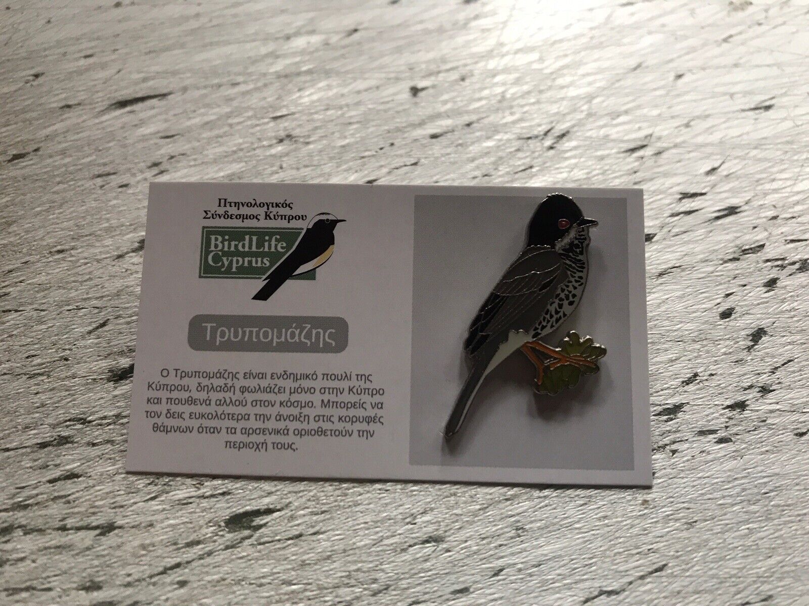 RSPB Partner Birdlife CYPRUS WARBLER enamel BIRD pin badge on card Excellent