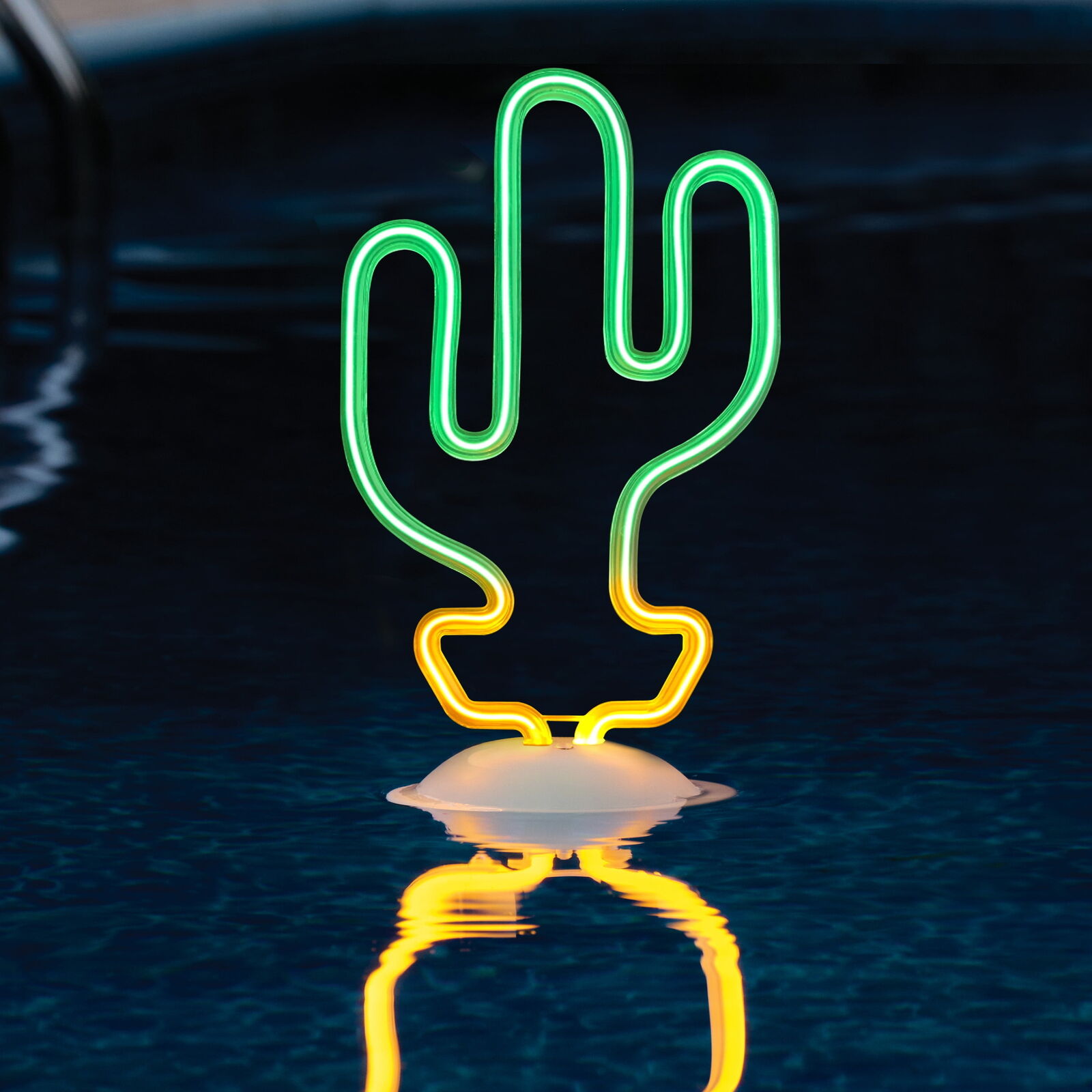 Battery-Operated Cactus Neon Floating Light with Thermometer,A
