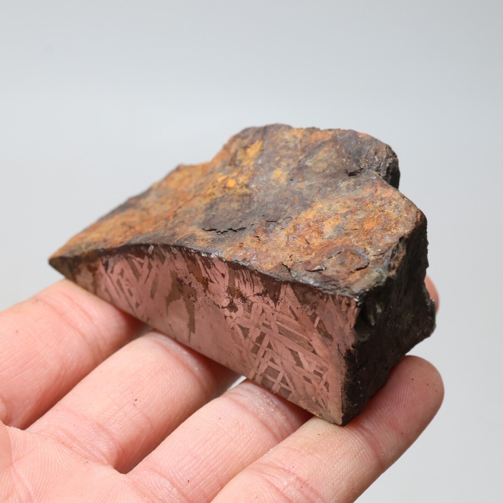 263g Muonionalusta meteorite part slice  A2130