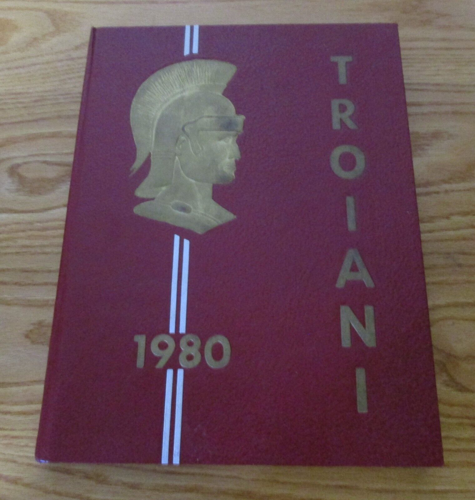1980 Troiani Harnett Central High School Angier  North Carolina Yearbook
