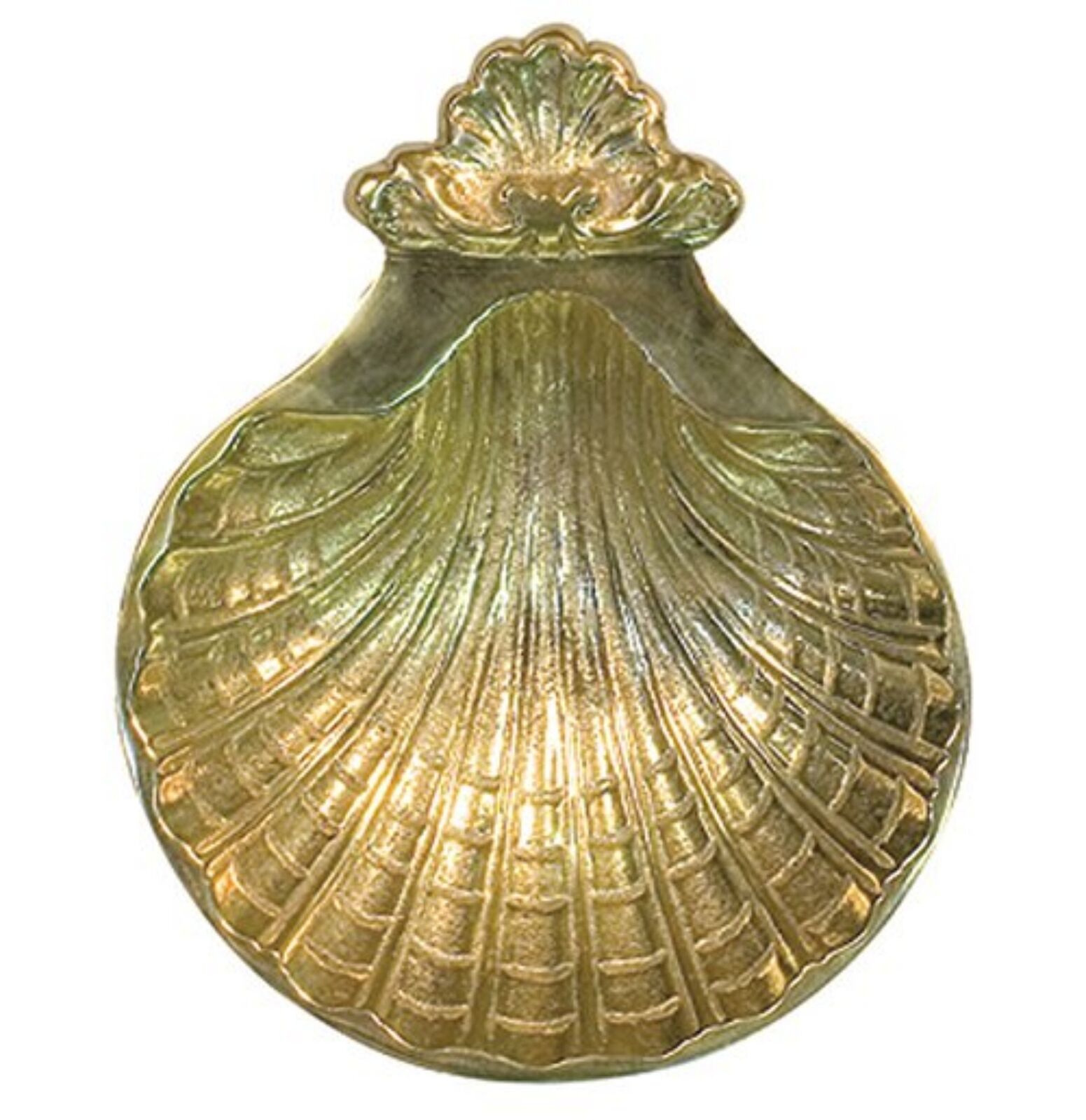 N.G. Solid Brass Baptism Shell for Church Supplies, 5 Inch