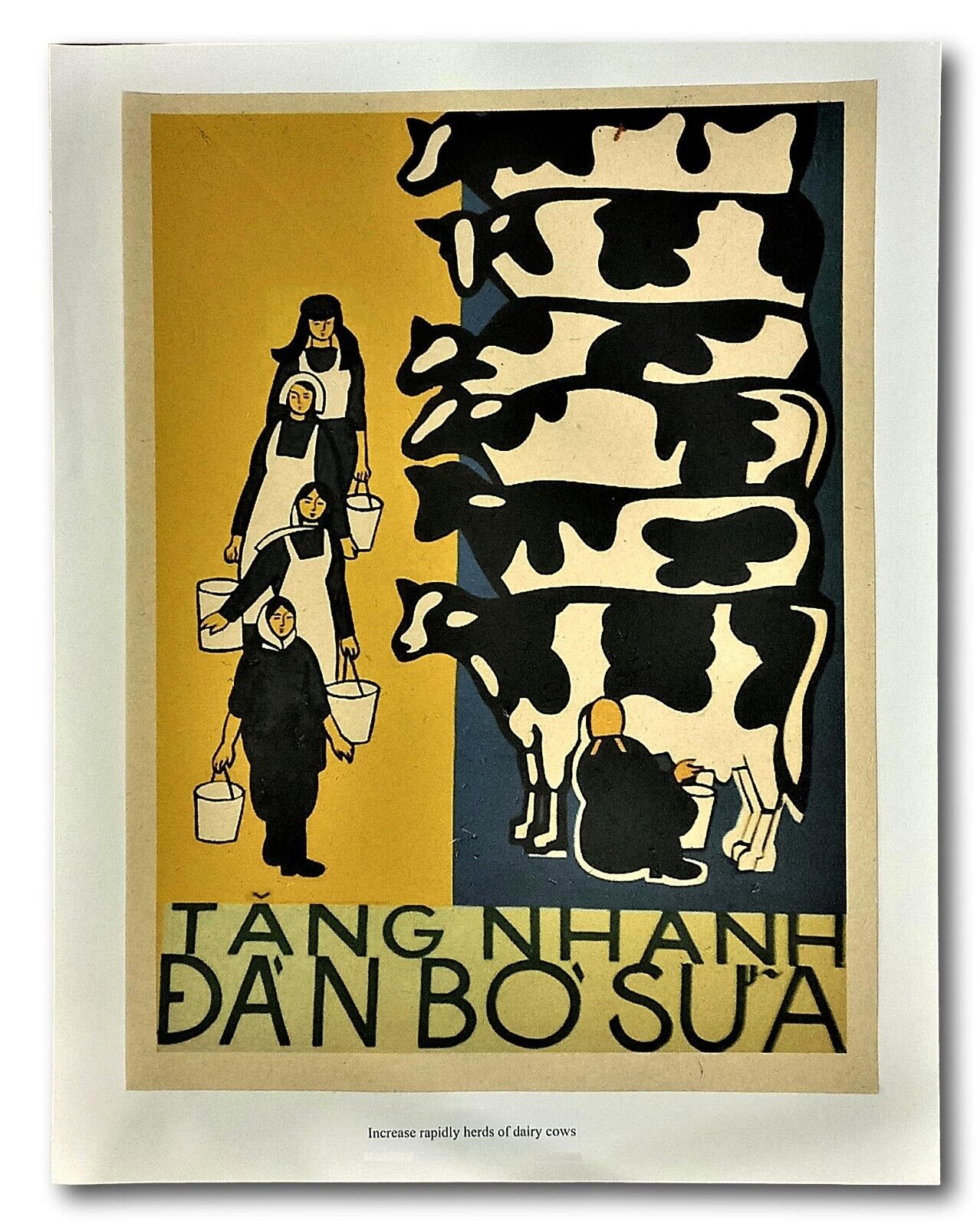 Vietnam Poster Propaganda Increase Rapid Production of Dairy Milk Cows 12X16in