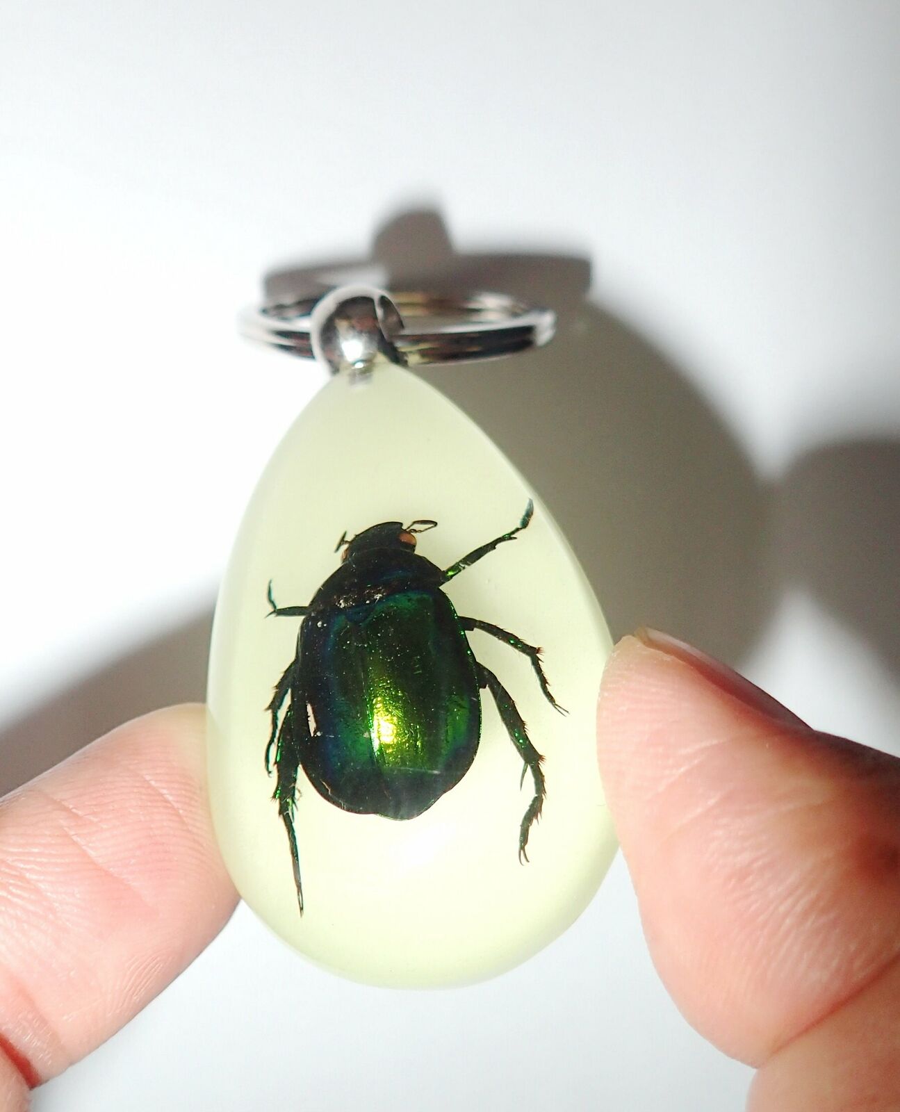 Colorful Scarab Beetle Mimela splendens Specimen Insect Key Ring Glow