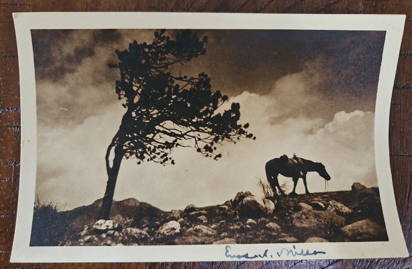 1922 Enos A Miller Photo Signed. Author Of Wild Life on the Rockies