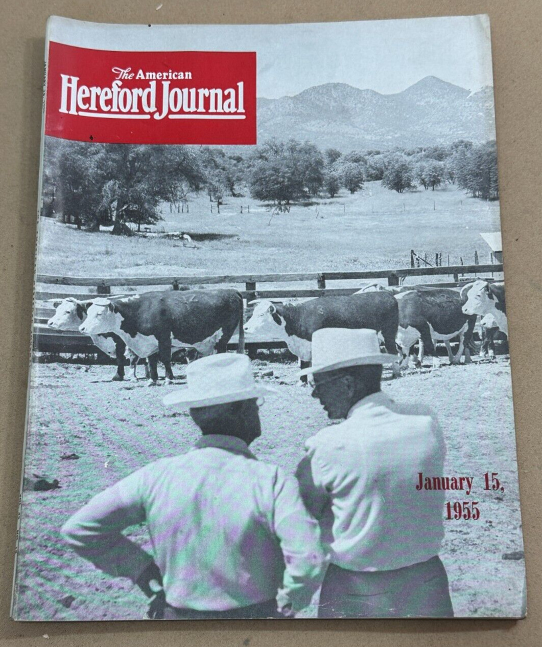 January 15, 1955 American Hereford Journal magazine -ads, articles, photos, etc