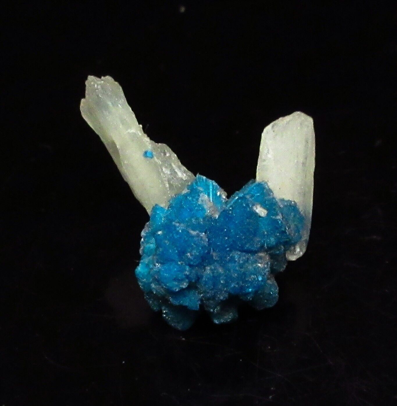 Dark blue Cavansite with stilbite (non-precious natural mineral) #2318