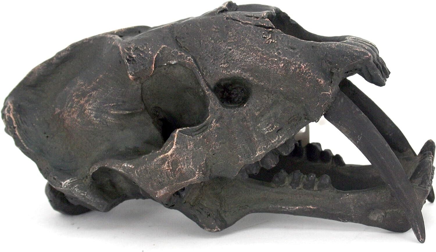 Saber Toothed Tooth Tiger Fossil Head Skull Prehistoric Figure Statue 69166