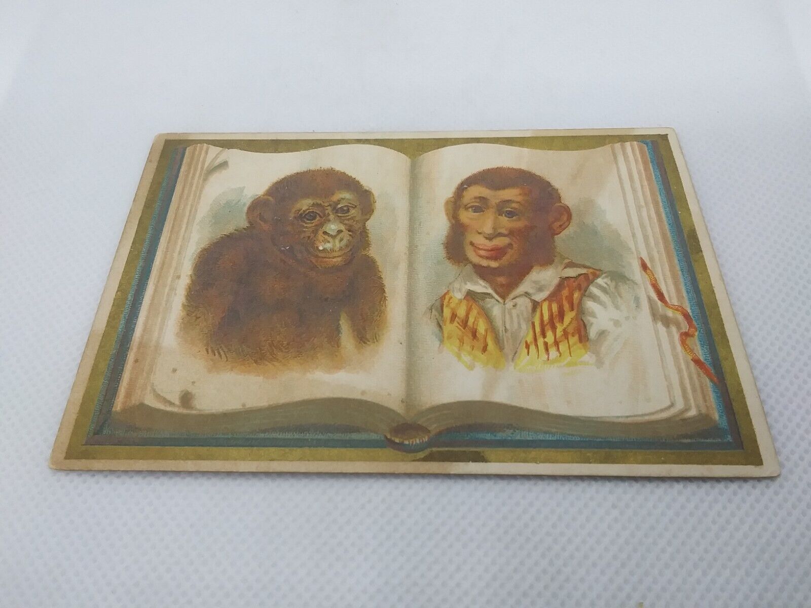 Antique Darwin Monkey Ape Man Trade Card