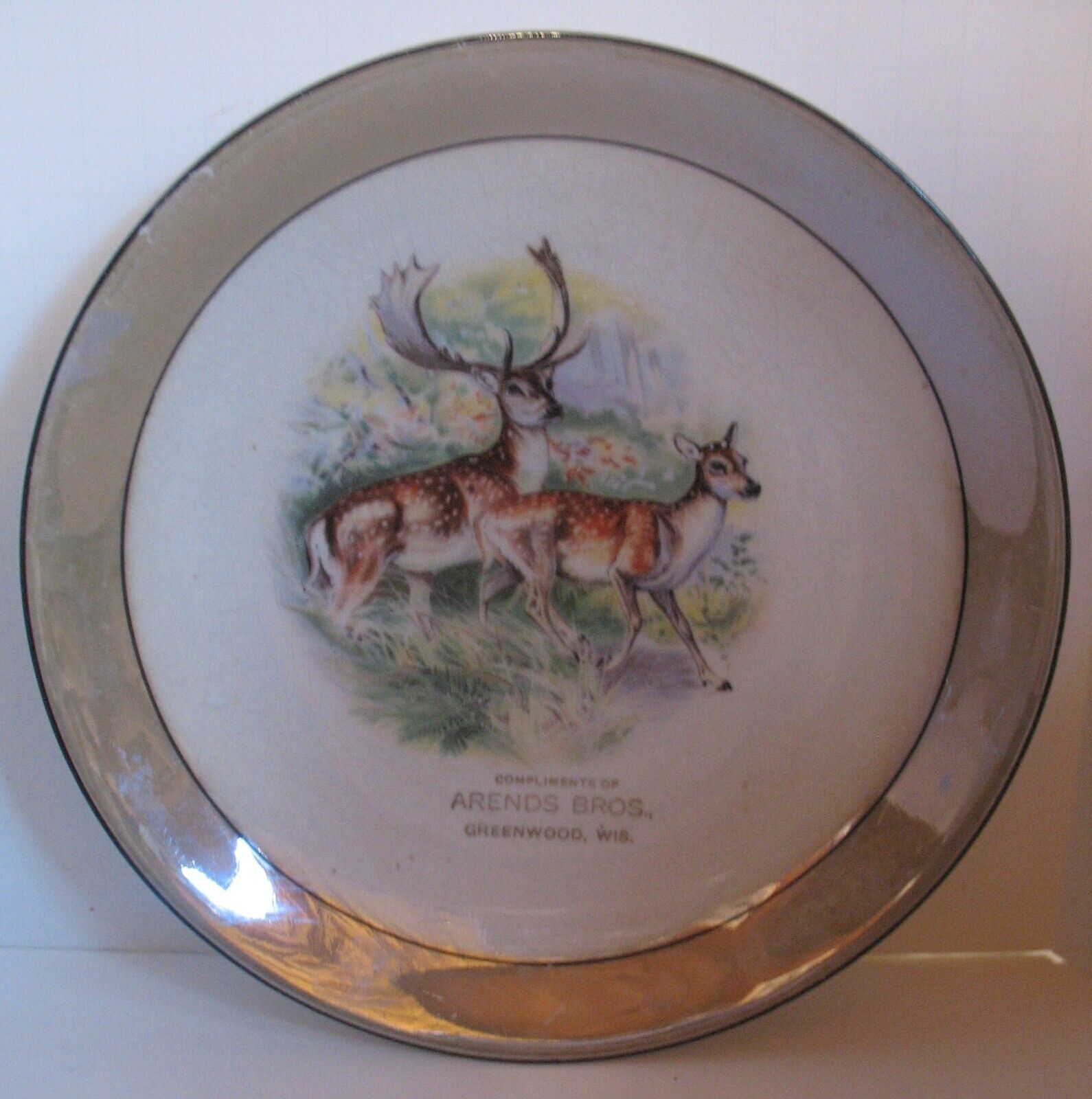 Ant. D E McNicol Arends Bros. Greenwood Wis Lustered Advertising Souvenir Plate
